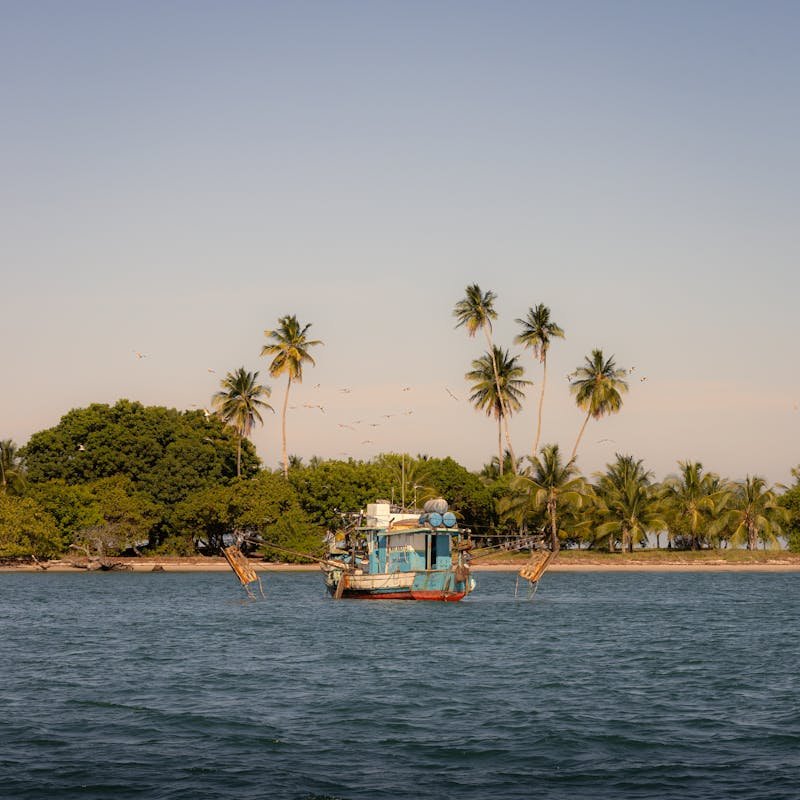 Kerala backwaters and wellness travel experience in India